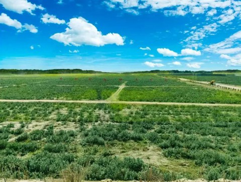 達拉特旗物華煤礦